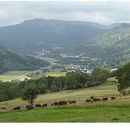 Vacances Au Pied Des Monts Du Cantal Laveissiere Exterior photo