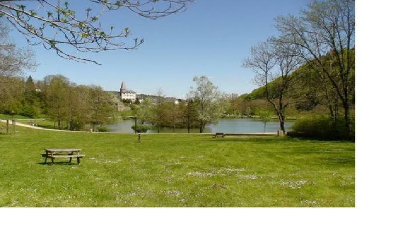 Vacances Au Pied Des Monts Du Cantal Laveissiere Exterior photo
