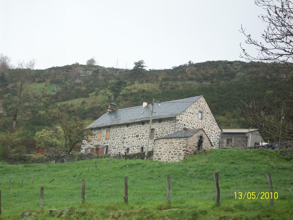 Vacances Au Pied Des Monts Du Cantal Laveissiere Exterior photo