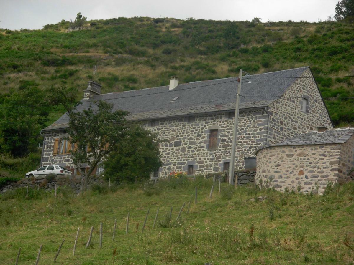 Vacances Au Pied Des Monts Du Cantal Laveissiere Exterior photo